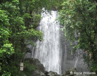 A waterfall at El Yunque Rainforest 